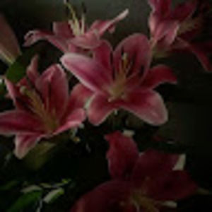 Meet your Posher, Rae